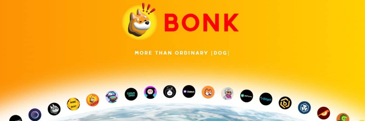 Bonk: Conheça a memecoin!